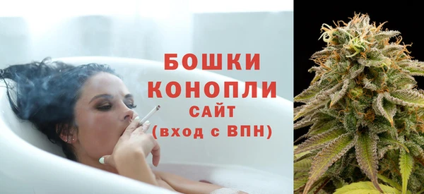 PSILOCYBIN Аркадак