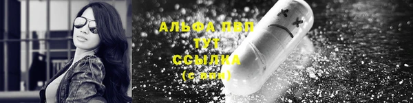 PSILOCYBIN Аркадак