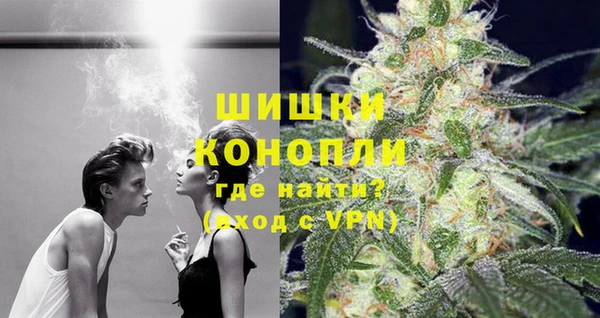 PSILOCYBIN Аркадак