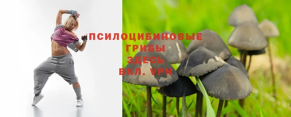 прущие крисы Арсеньев