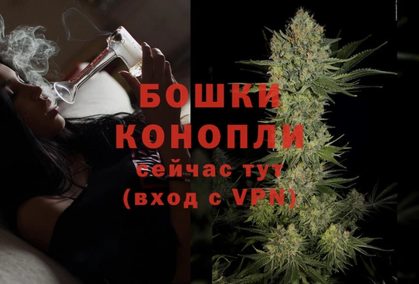 PSILOCYBIN Аркадак