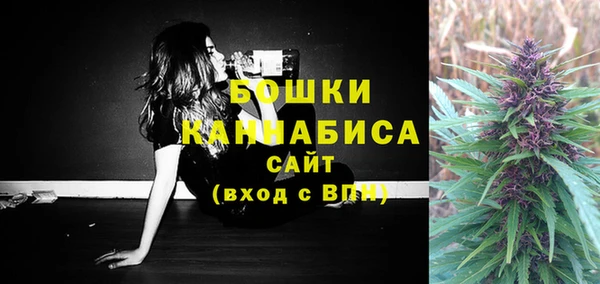 PSILOCYBIN Аркадак
