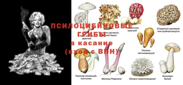 PSILOCYBIN Аркадак