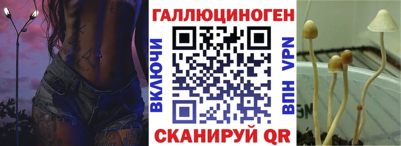 OMG tor  Тавда  Галлюциногенные грибы Magic Shrooms 